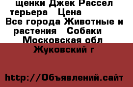 щенки Джек Рассел терьера › Цена ­ 27 000 - Все города Животные и растения » Собаки   . Московская обл.,Жуковский г.